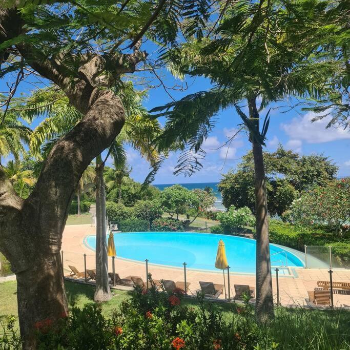 Magnifique Studio Pierre Et Vacances Piscine & Plage Sainte-Anne (Grande-Terre) Exteriör bild