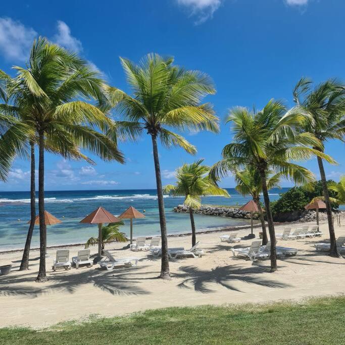 Magnifique Studio Pierre Et Vacances Piscine & Plage Sainte-Anne (Grande-Terre) Exteriör bild